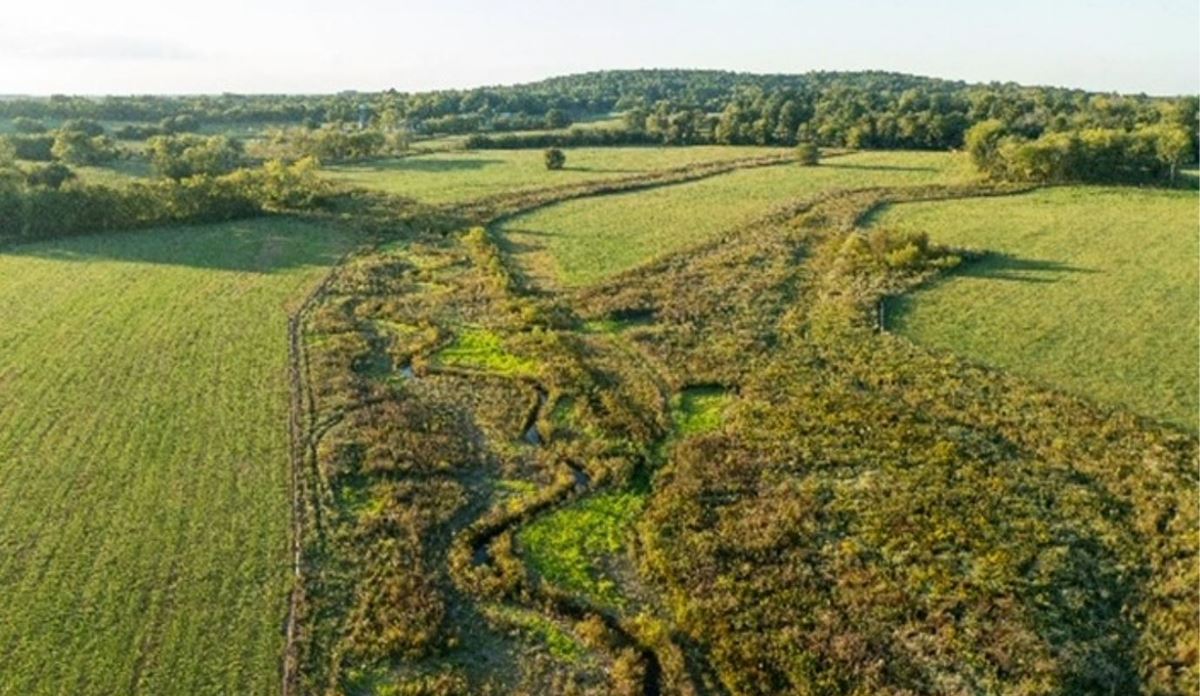 Aerial view of grassy fields