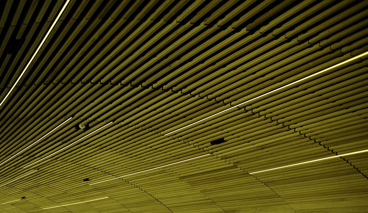 Green horizontal line