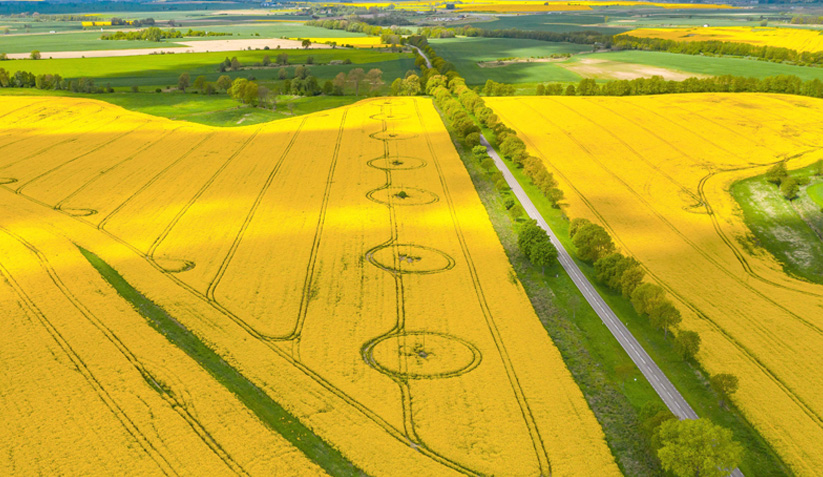 Farmland ready for harvest