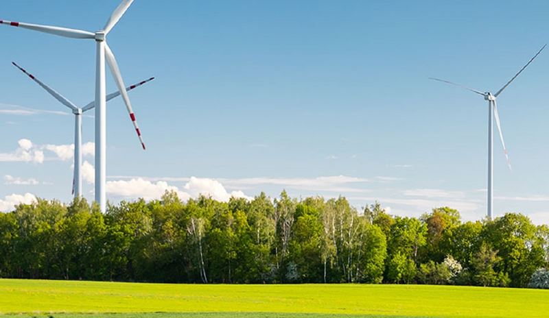 Wind turbines in a field