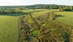 Aerial view of grassy fields